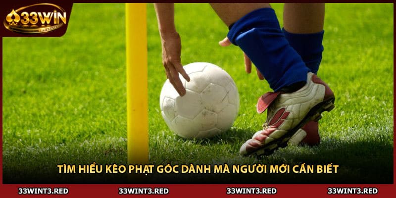 Tìm hiểu kèo phạt góc dành mà người mới cần biết